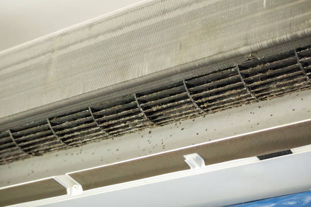 Best Affordable Duct Cleaning Services  in West Whittier Los Nietos, CA